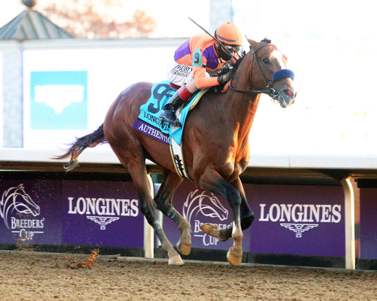 AUTHENTIC - Breeders' Cup Classic G1 - 11-07-20 - R12 - KEE - Finish 03