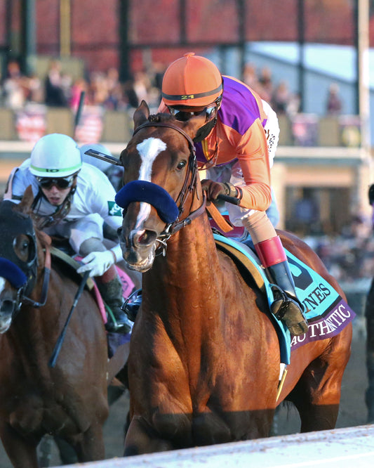 AUTHENTIC - Breeders' Cup Classic G1 - 11-07-20 - R12 - KEE - Inside Finish 02