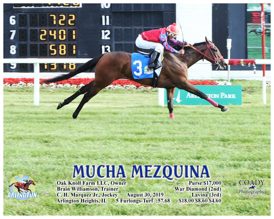 MUCHA MEZQUINA - 08-30-19 - R05 - AP - Action