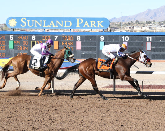WILD ON ICE - 18th Running of The Sunland Derby - 03-26-23 - R10 - Sunland Park - Finish 2